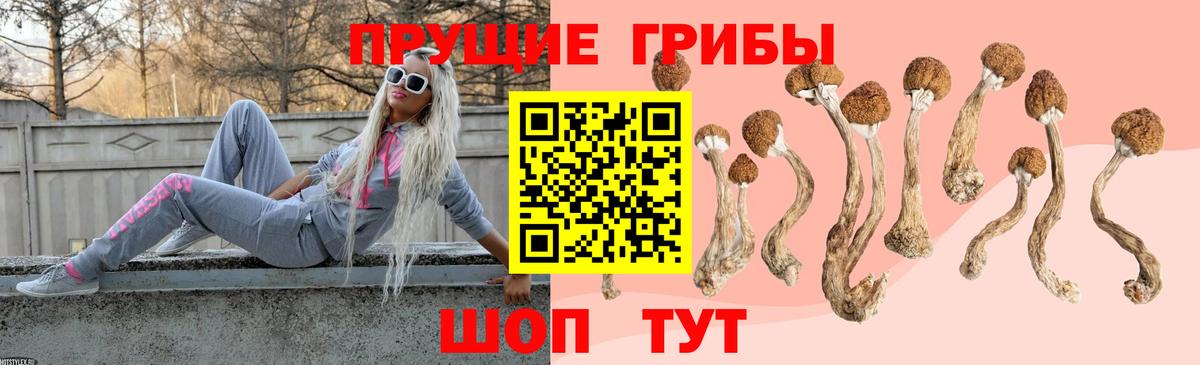Псилоцибиновые грибы мухоморы  Вход с VPN  Мценск 